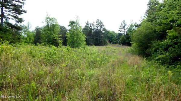 $32,550 | 1015 Saulsbury Road, Walnut, MS 38683