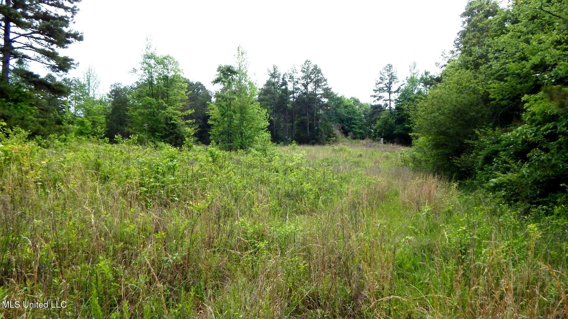 1015 Saulsbury Road Walnut, MS 38683 - Photo 8 of 23 DSCN6836