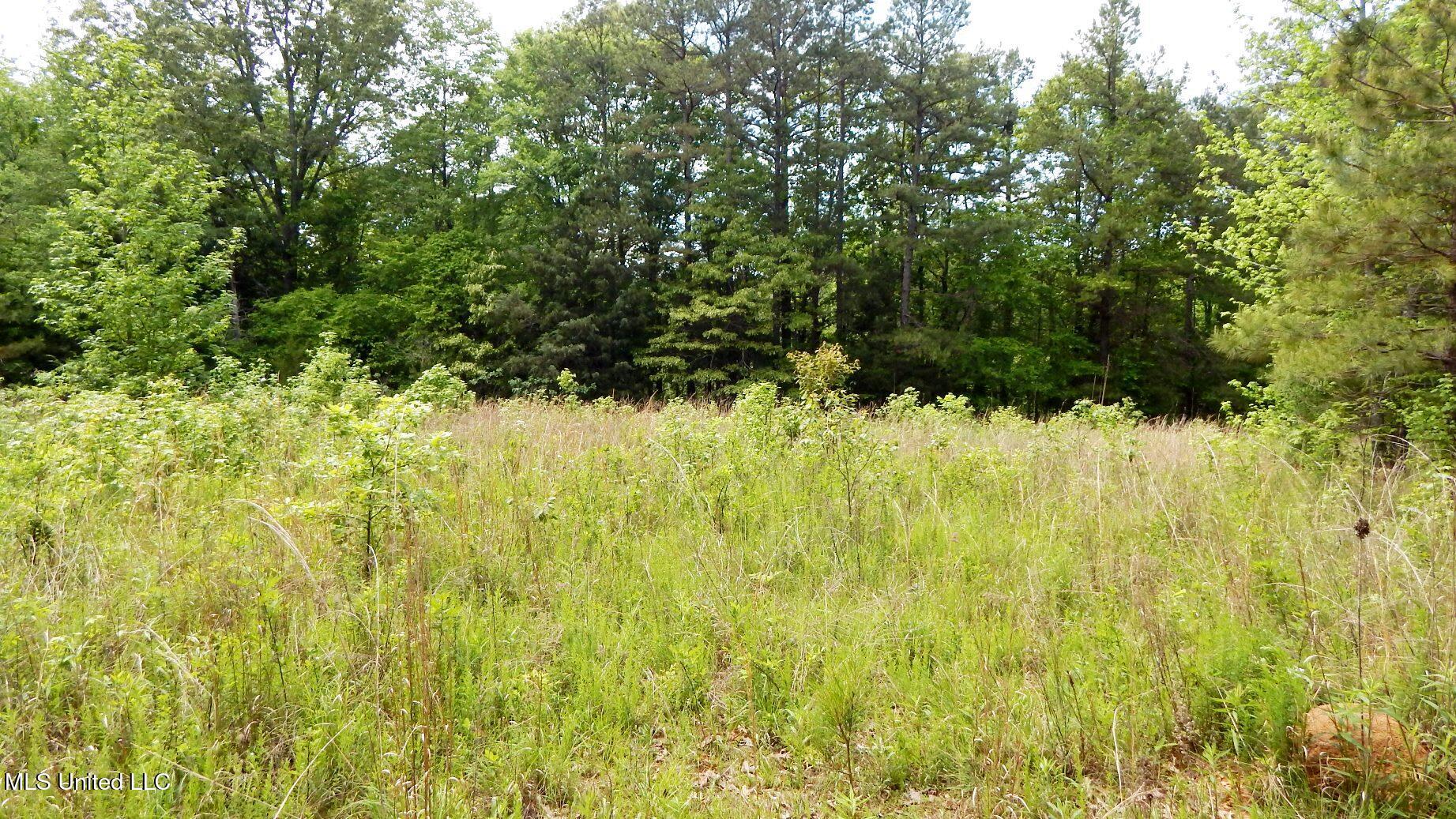 1015 Saulsbury Road Walnut, MS 38683 - Photo 9 of 23 DSCN6837