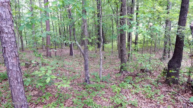 $35,550 | 1015 Saulsbury Road, Walnut, MS 38683