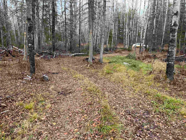 $145,000 | 4002 Shilo Trail, Ely, MN 55731