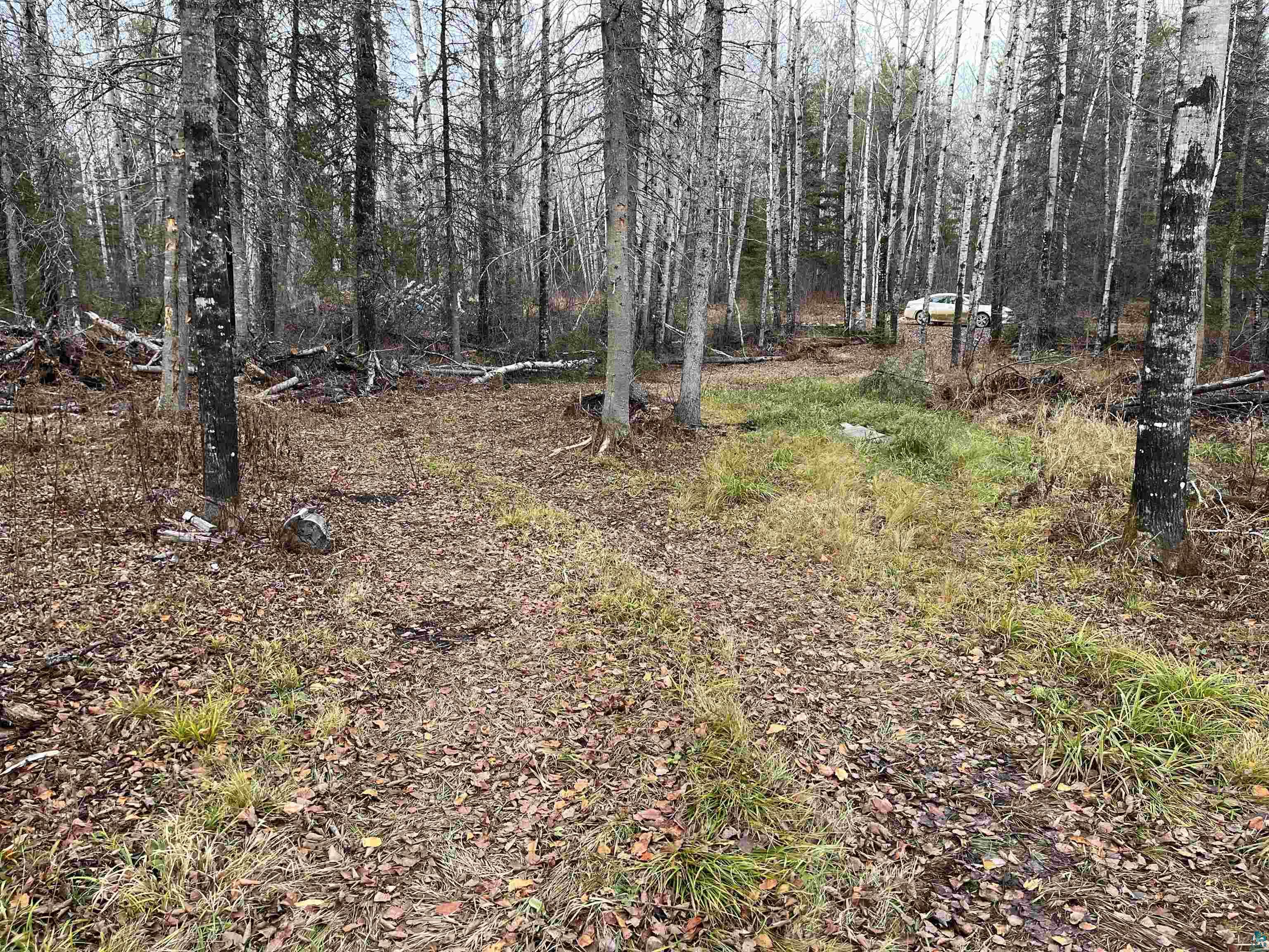 4002 Shilo Trail Ely, MN 55731 - Photo 13 of 15 View of yard featuring a forest view