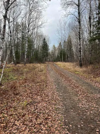 $145,000 | 4002 Shilo Trail, Ely, MN 55731