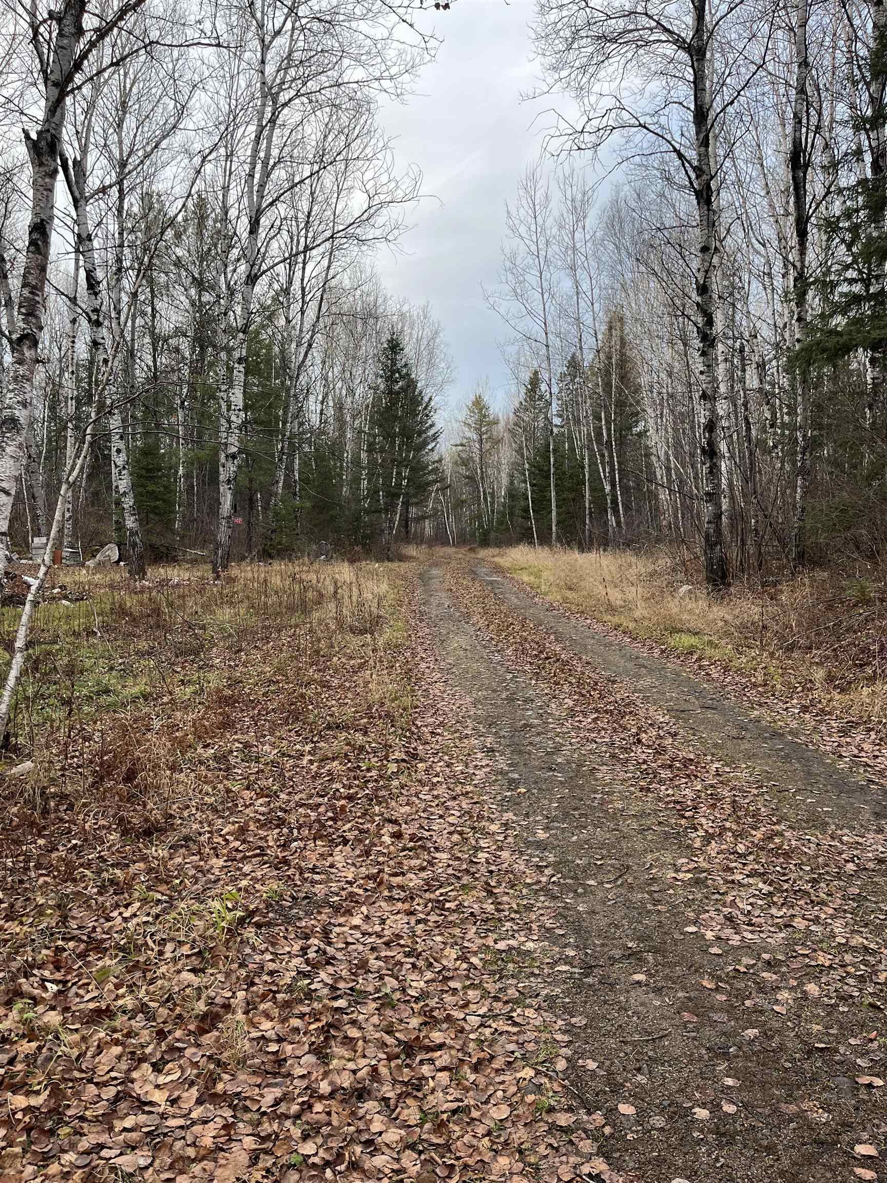 4002 Shilo Trail Ely, MN 55731 - Photo 14 of 15 View of dirt / gravel road featuring a view of trees