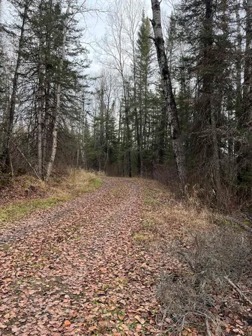 $145,000 | 4002 Shilo Trail, Ely, MN 55731