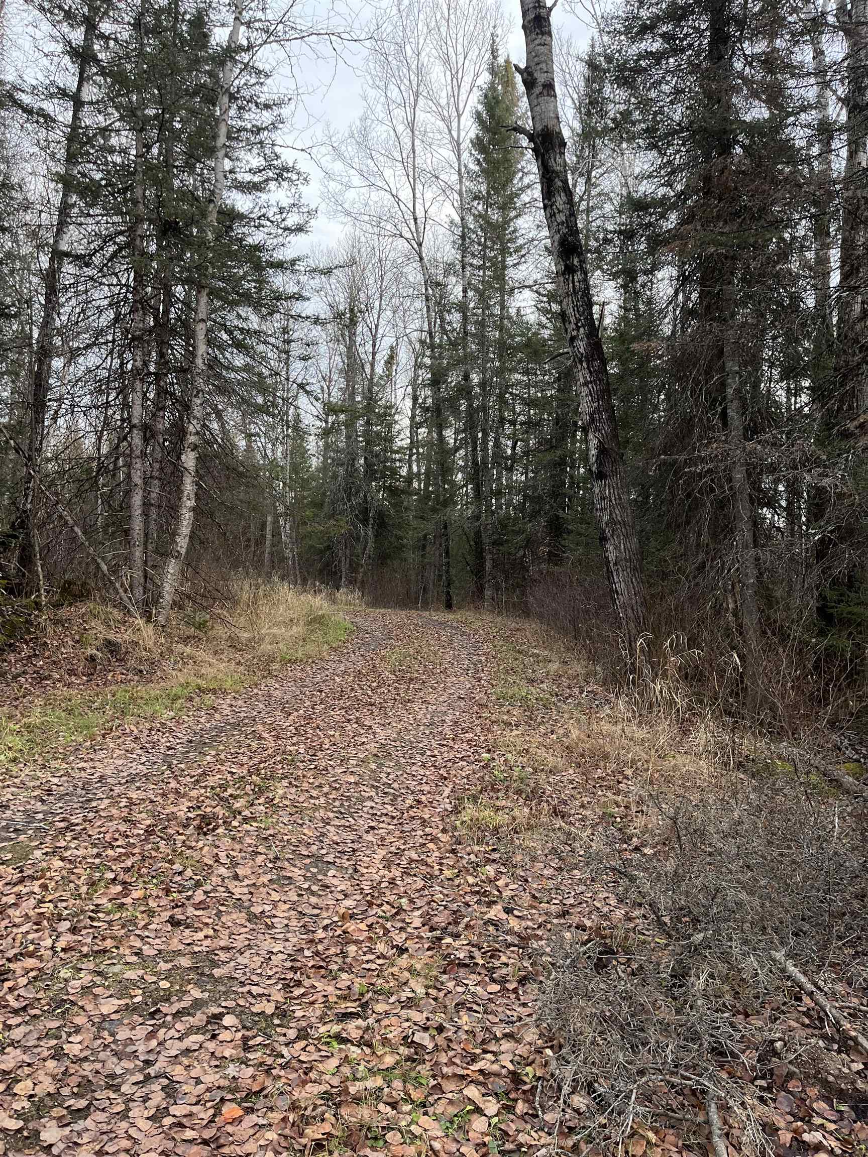 4002 Shilo Trail Ely, MN 55731 - Photo 15 of 15 View of undeveloped land