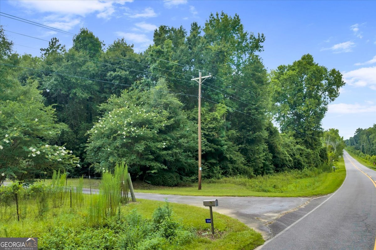 1060 Cooks Mill Road Oglethorpe, GA 31068 - Photo 76 of 104