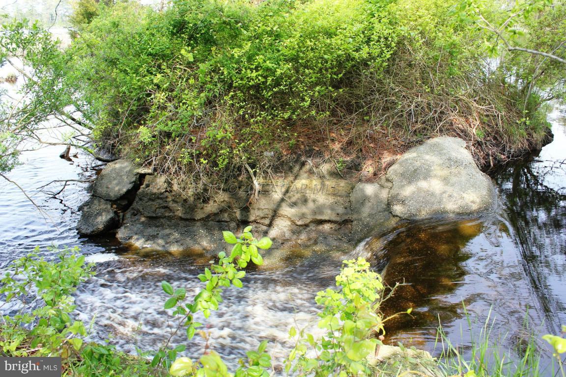 25357 Collins Wharf Road Eden, MD 21822 - Photo 19 of 19