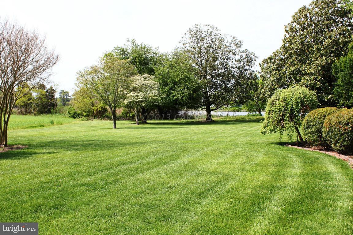 25357 Collins Wharf Road Eden, MD 21822 - Photo 8 of 19