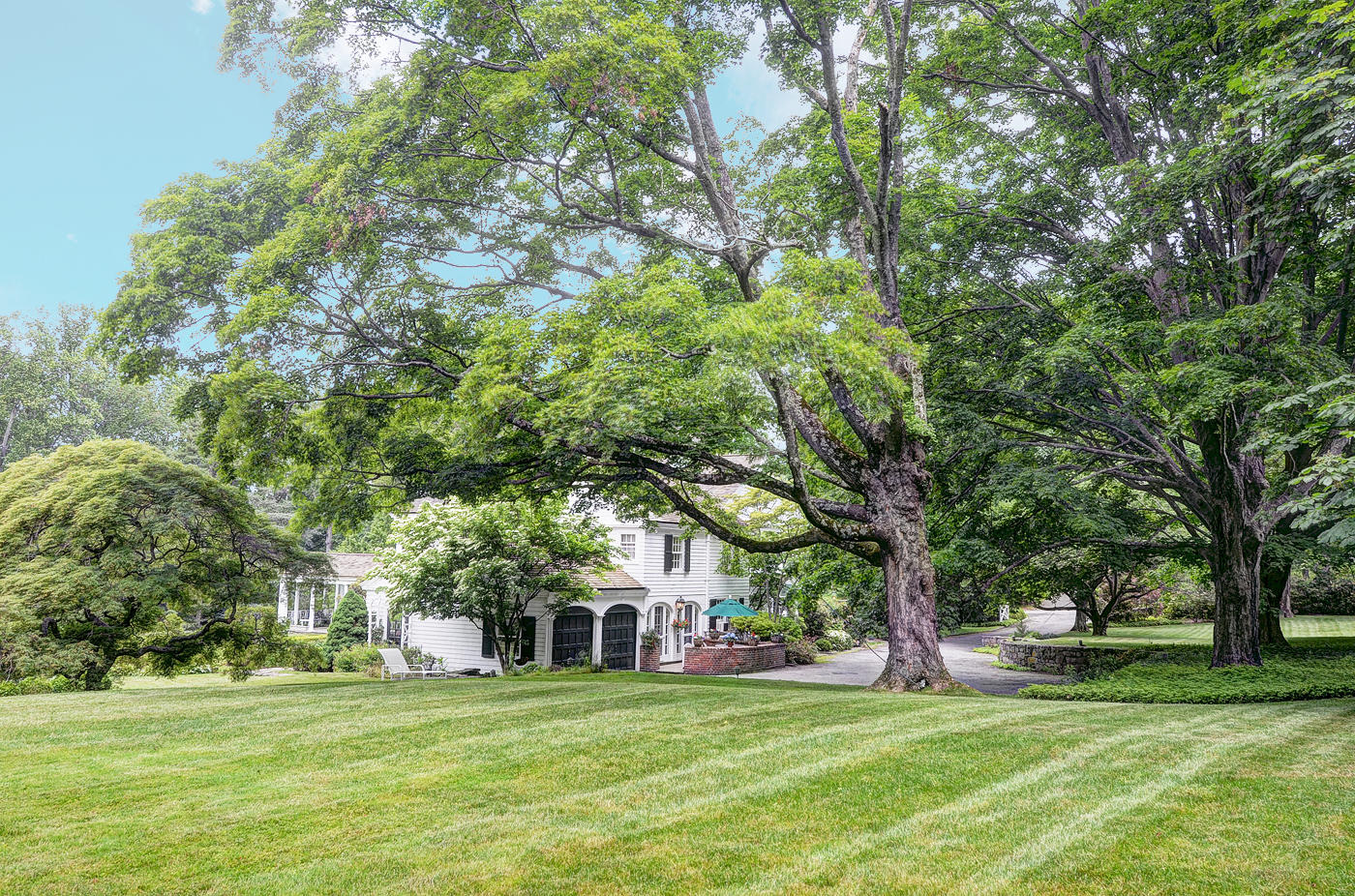 96 Woods End Road New Canaan, CT 06840 - Photo 16 of 21 a view of a building with a big yard and large trees