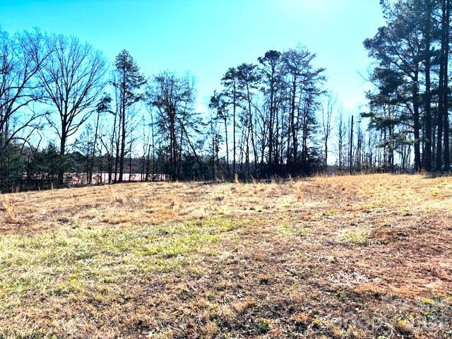 0 Meade Lane, Unit 23 Bostic, NC 28018 - Photo 3 of 3