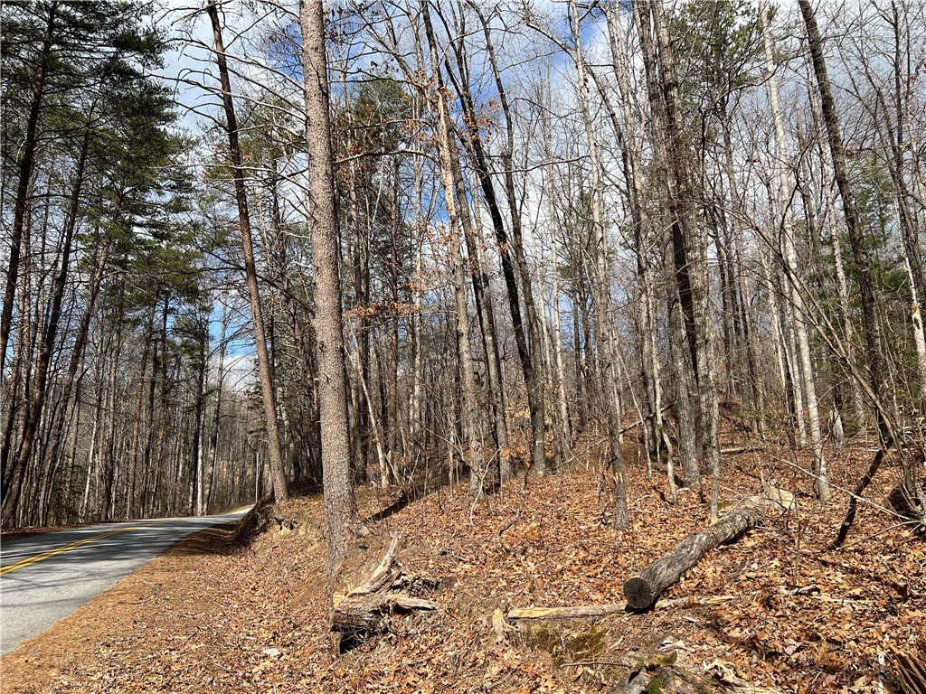 Rocky Fork Side