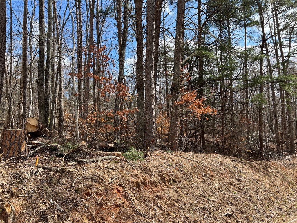 View From Rocky Fork