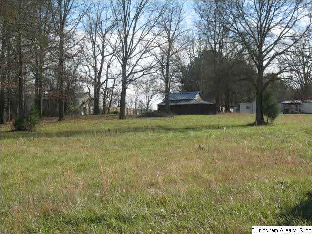 1736 Pine Dale Road Ashville, AL 35953 - Photo 16 of 19