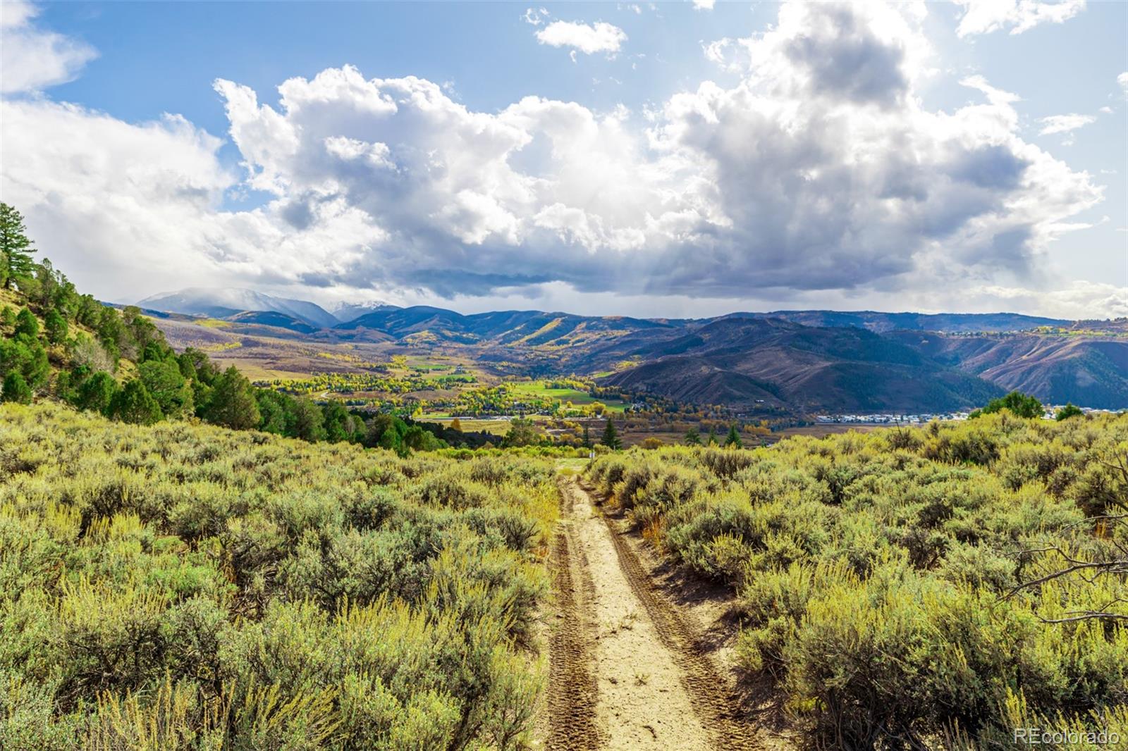 983 Beard Creek Road Edwards, CO 81632 - Photo 16 of 23 a view of a yard