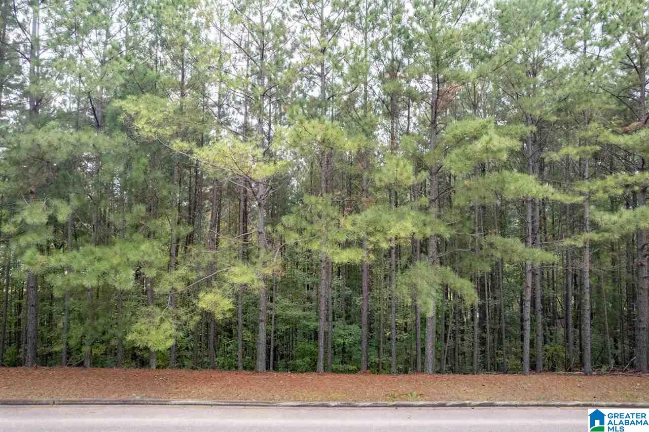 8048 Castlehill Road, Unit 8 Birmingham, AL 35242 - Photo 4 of 12