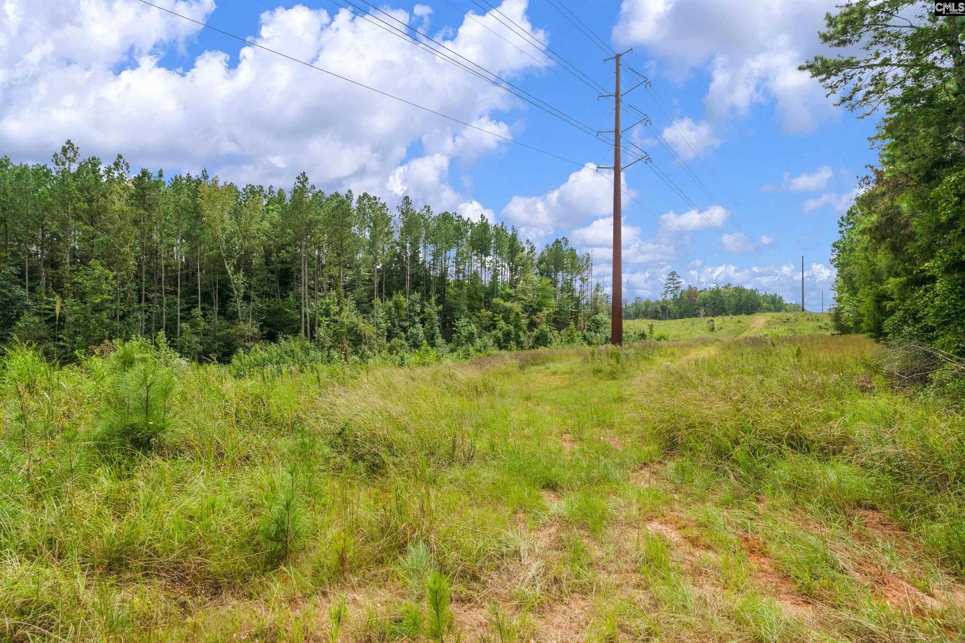 0 Penner Road, Unit 10 Jenkinsville, SC 29065 - Photo 38 of 43