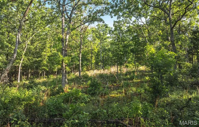 $28,600 | 0 Highway B 13 Ellington Mo 63638, Centerville, MO 63633