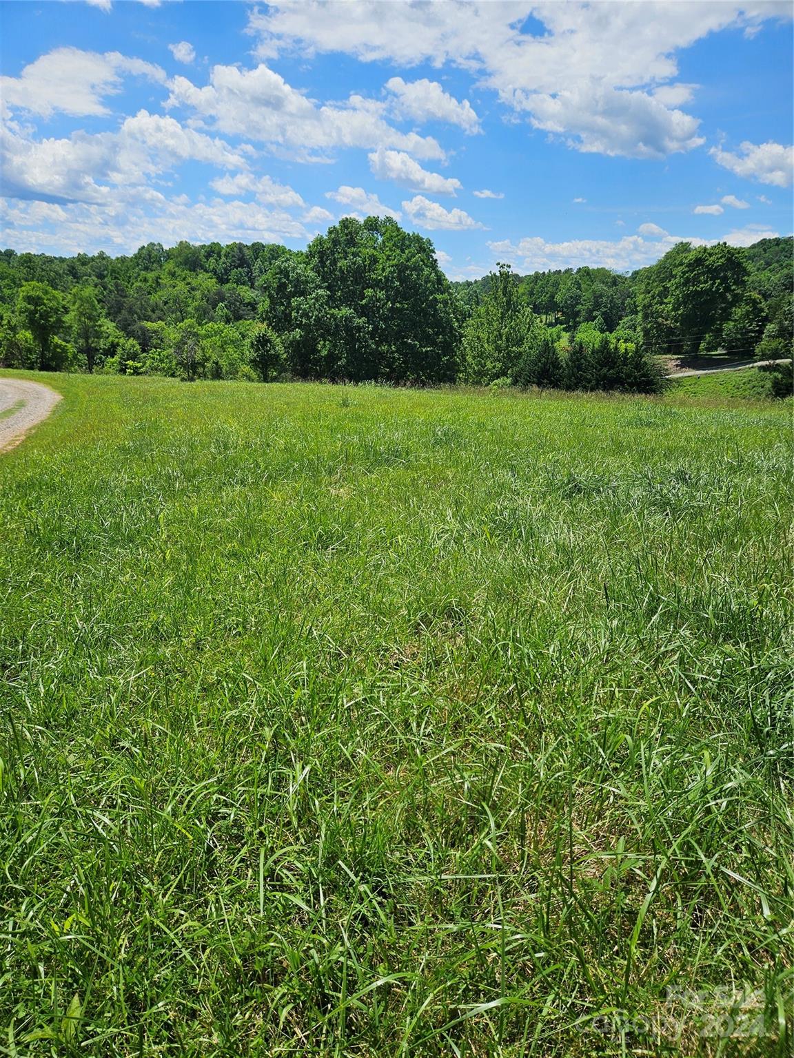Lot 6 Firefly Ridge, Unit 6 Alexander, NC 28701 - Photo 5 of 13 Gallery Image 5