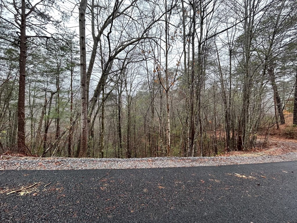 15 Clearview Road Sevierville, TN 37862 - Photo 9 of 16