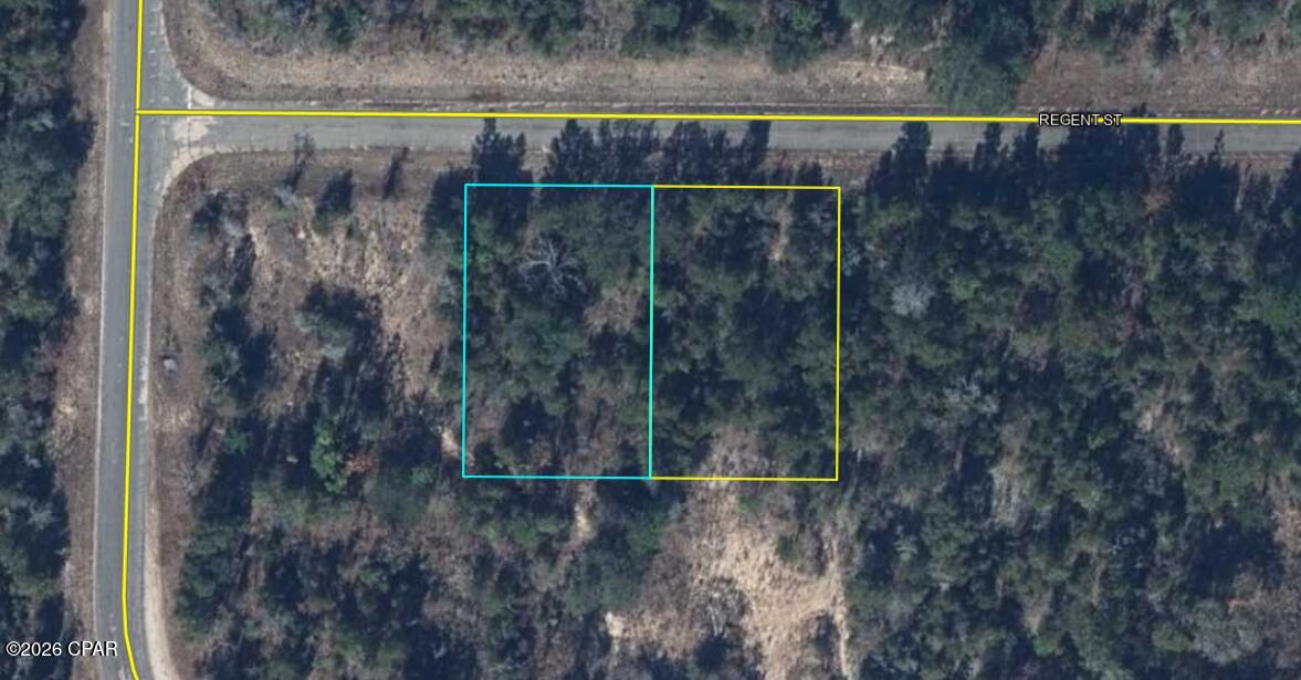 Tbd Weller Street Chipley, FL 32428 - Photo 3 of 10