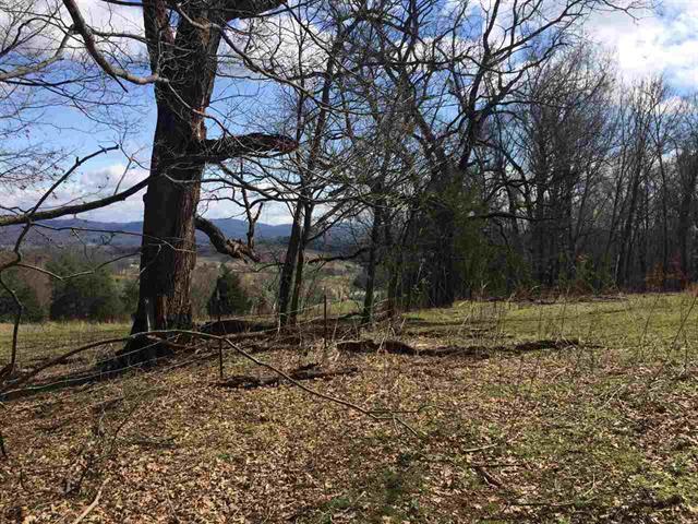 Hodge Road Bean Station, TN 37708 - Photo 22 of 29 Helton Rd 23