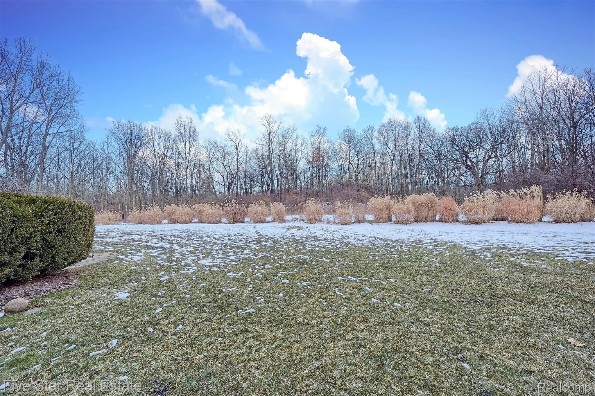 3681 Tremonte Circle Rochester, MI 48306 - Photo 38 of 43 38-Backyard.jpg