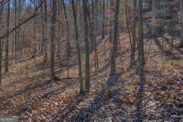 $740,000 | 131 Woods Road, Juliette, GA 31046