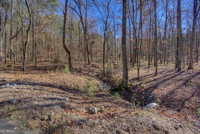 $740,000 | 131 Woods Road, Juliette, GA 31046