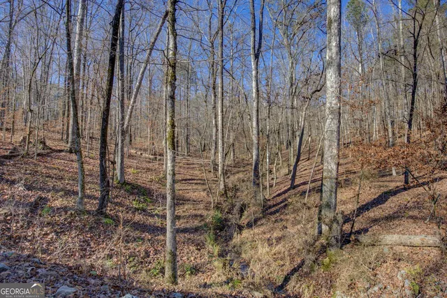 $740,000 | 131 Woods Road, Juliette, GA 31046