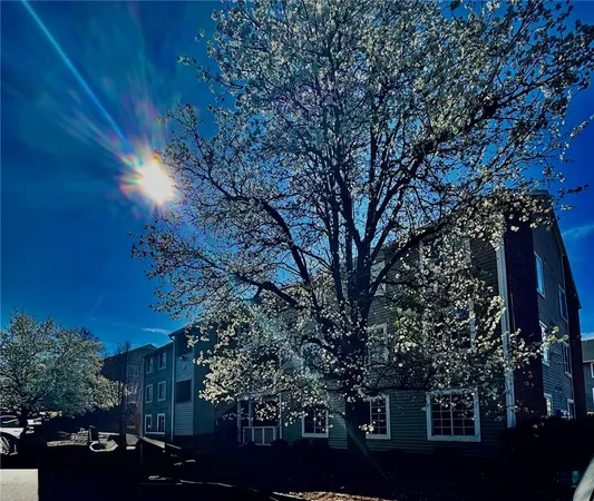 $183,900 | 220 Elm Street, Unit 502, Clemson, SC 29631