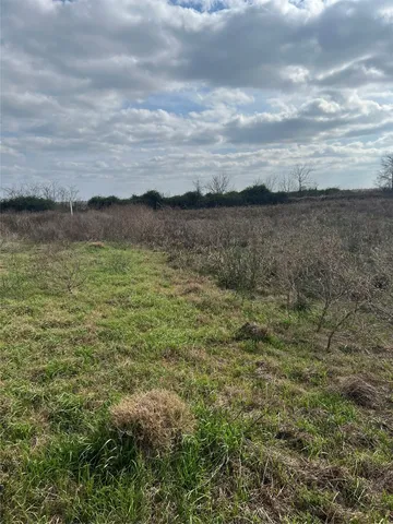 a view of a lake from a yard