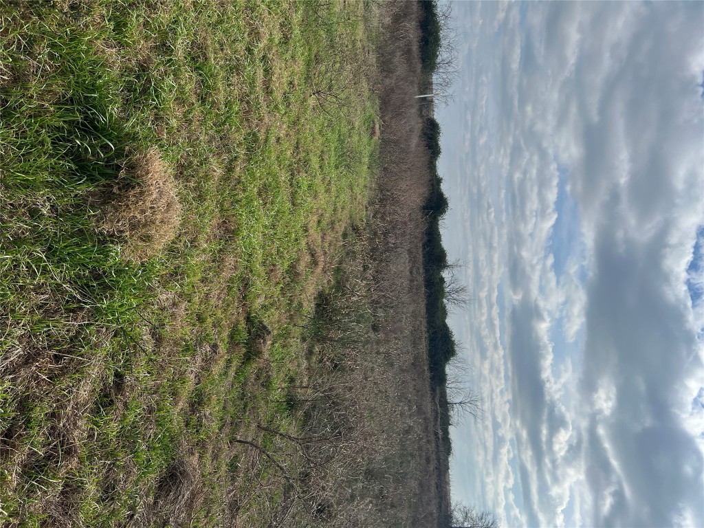 a view of a lake from a yard