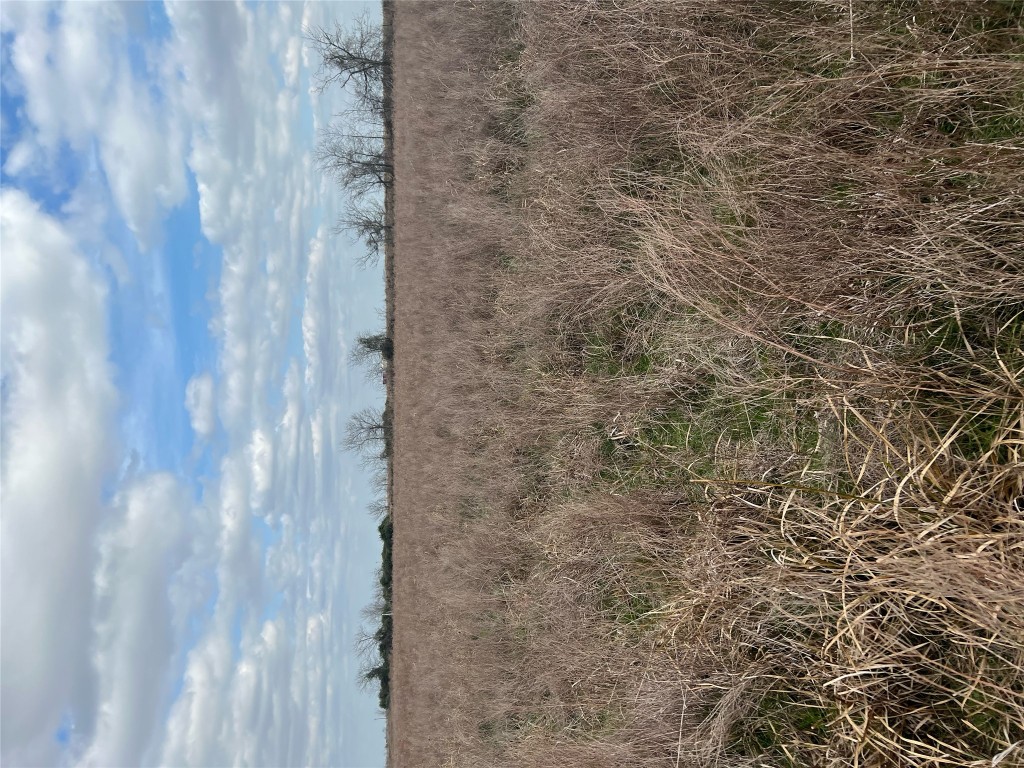 Tbd Lot 1 Tbd Road Eagle Lake, TX 77434 - Photo 4 of 6