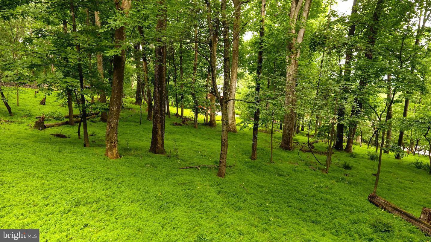 High Knob Road Front Royal, VA 22630 - Photo 2 of 9