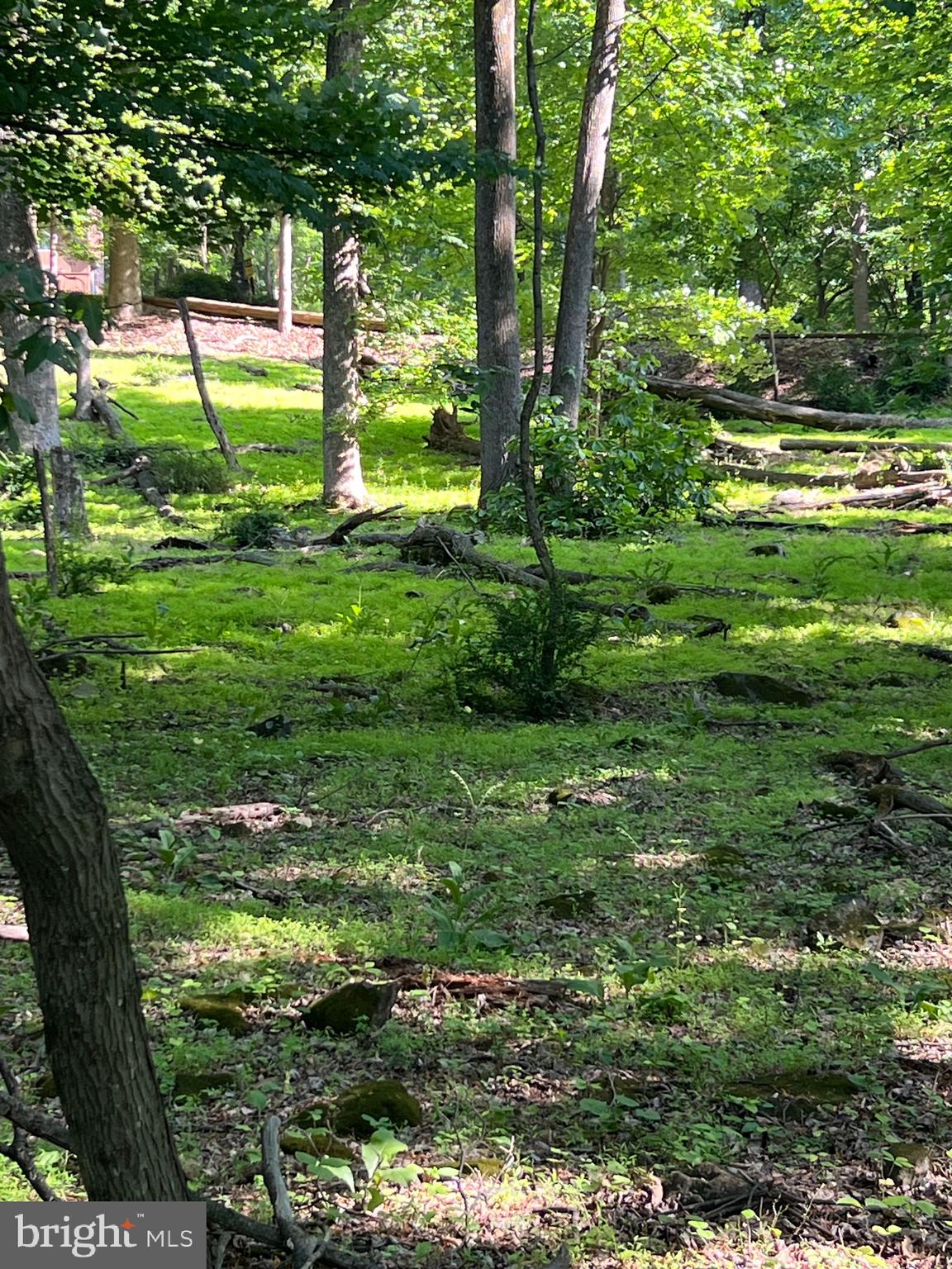 High Knob Road Front Royal, VA 22630 - Photo 4 of 9