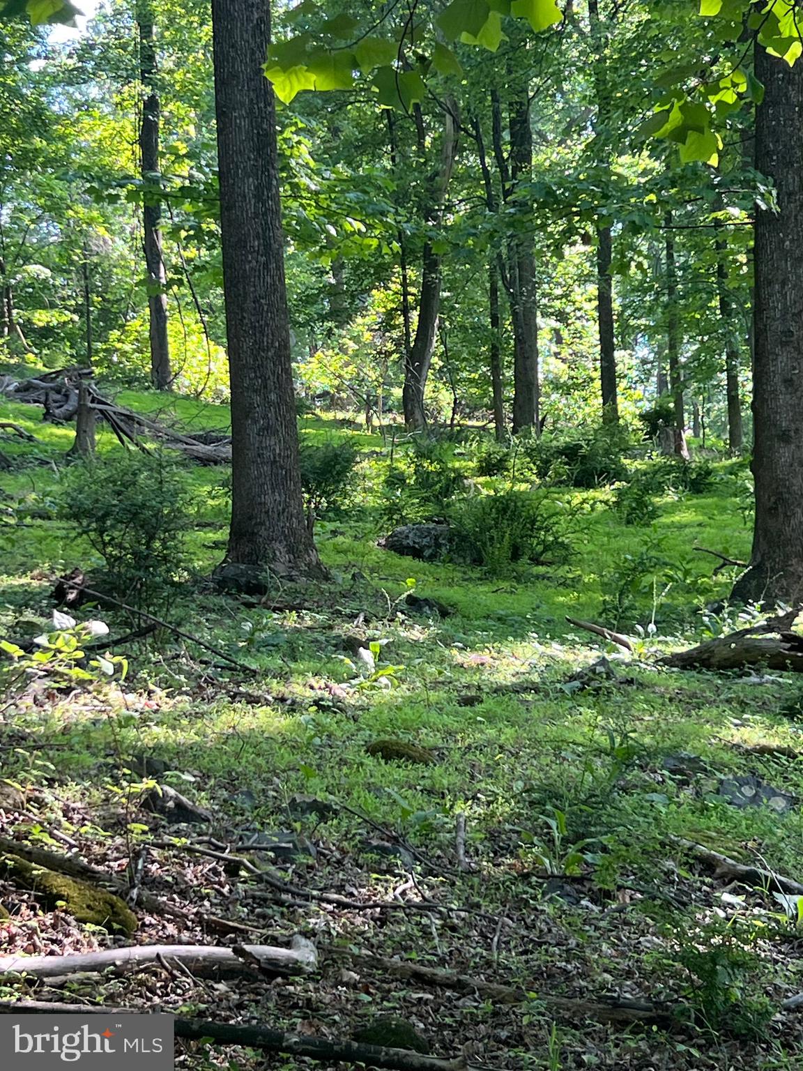 High Knob Road Front Royal, VA 22630 - Photo 5 of 9