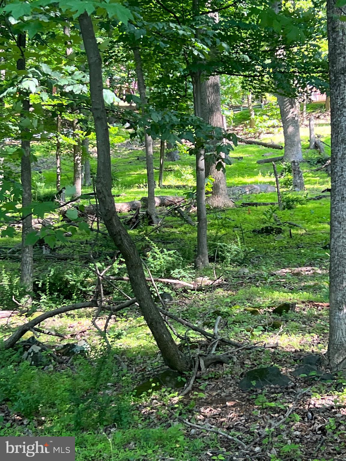 High Knob Road Front Royal, VA 22630 - Photo 6 of 9