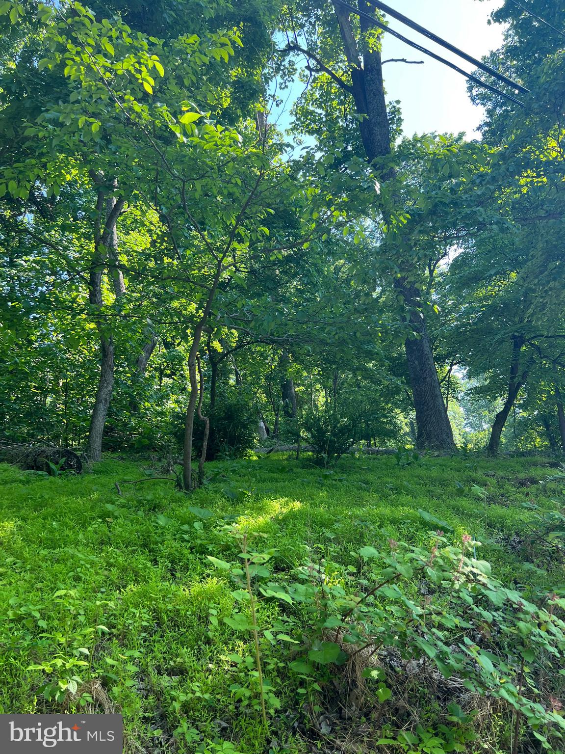 High Knob Road Front Royal, VA 22630 - Photo 7 of 9