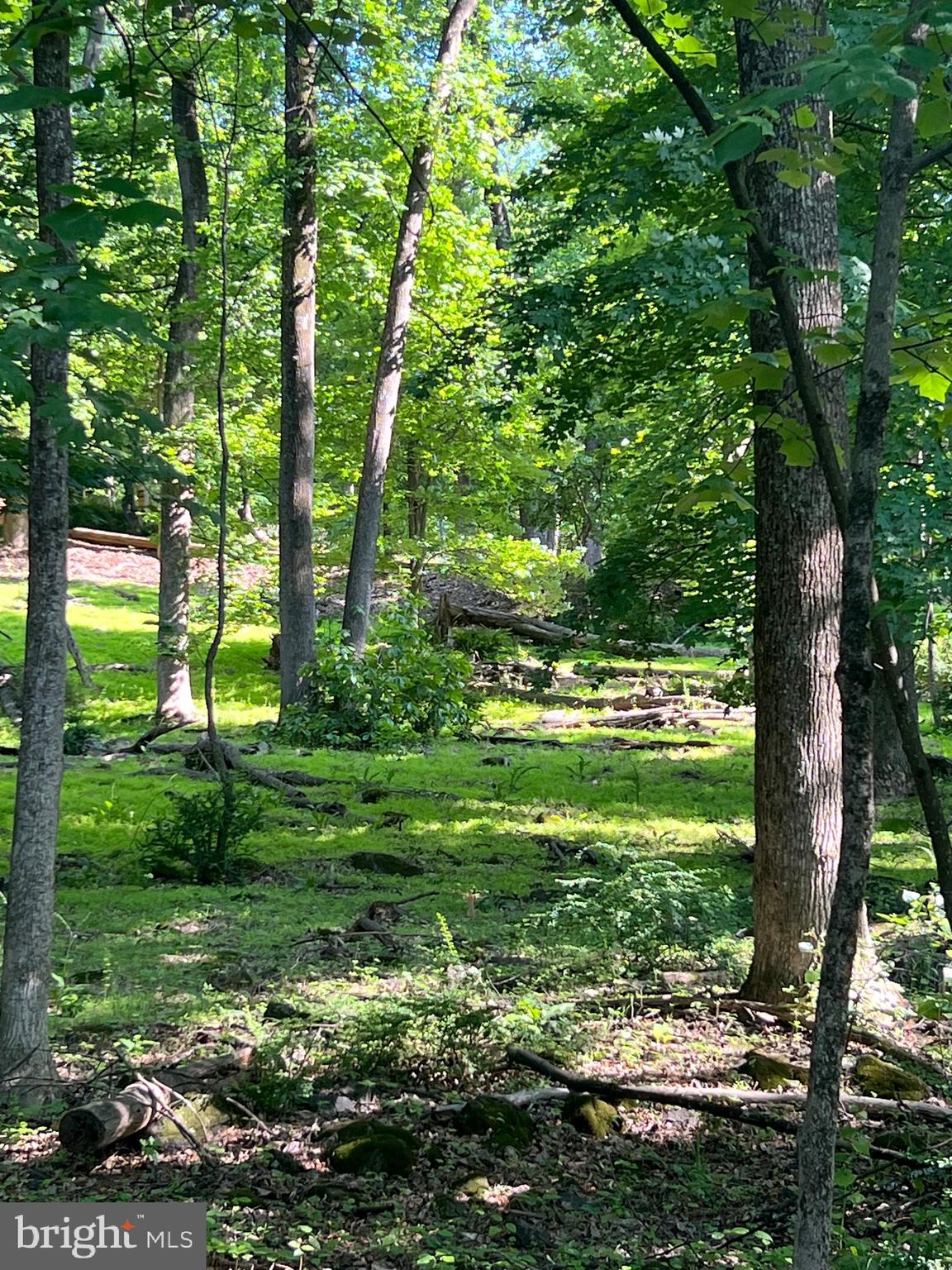 High Knob Road Front Royal, VA 22630 - Photo 8 of 9