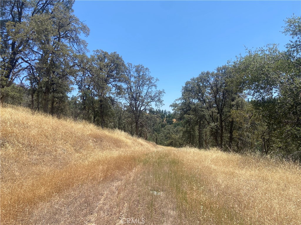 5737 Colorado Road Mariposa, CA 95338 - Photo 11 of 12 a view of mountain view with lake view