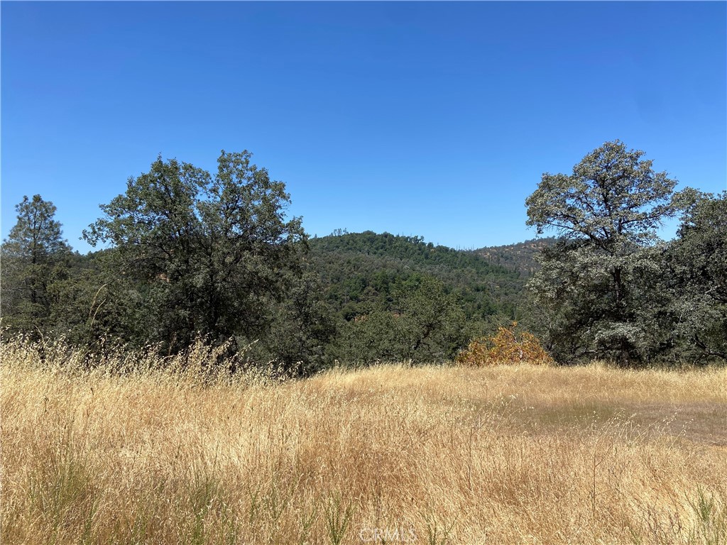5737 Colorado Road Mariposa, CA 95338 - Photo 12 of 12 a view of mountain view with tall trees