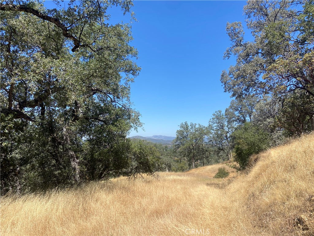 5737 Colorado Road Mariposa, CA 95338 - Photo 2 of 12 a view of a yard covered in snow