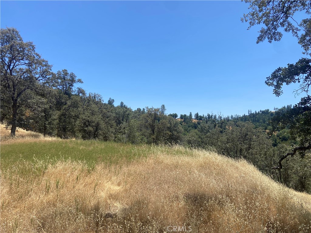 5737 Colorado Road Mariposa, CA 95338 - Photo 3 of 12 a view of a lake with a city