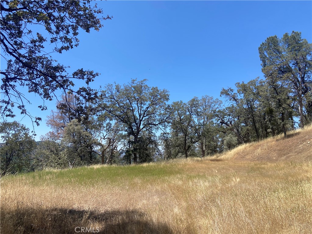 5737 Colorado Road Mariposa, CA 95338 - Photo 4 of 12 a view of a lake view