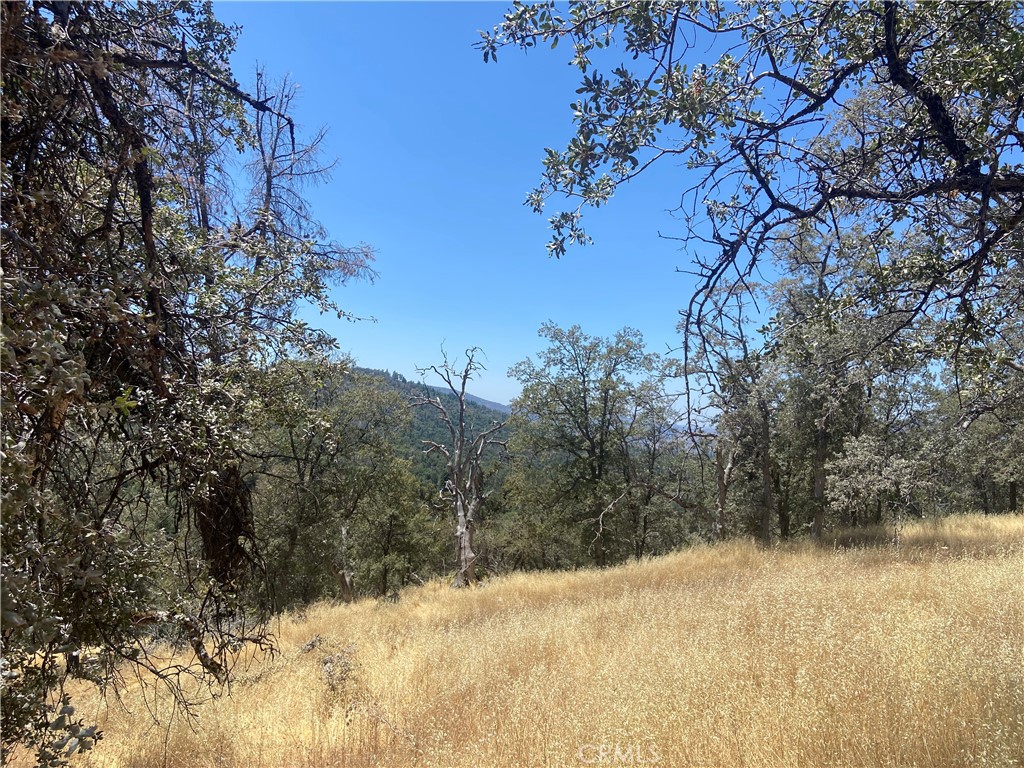 5737 Colorado Road Mariposa, CA 95338 - Photo 6 of 12 a view of a snow covered with snow in outdoor space