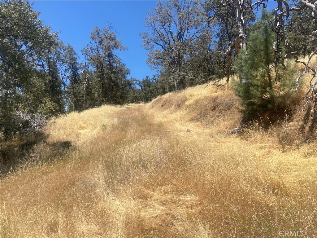 5737 Colorado Road Mariposa, CA 95338 - Photo 8 of 12 a view of side of snow with trees in the background