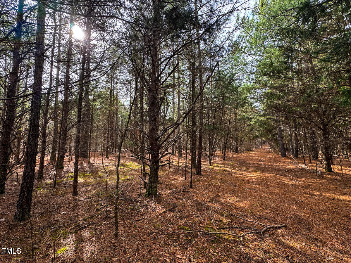 0 Southern High School Road Graham, NC 27253 - Photo 8 of 61 Alamance Co. NC 5.98-Backwoods-The Oaks-