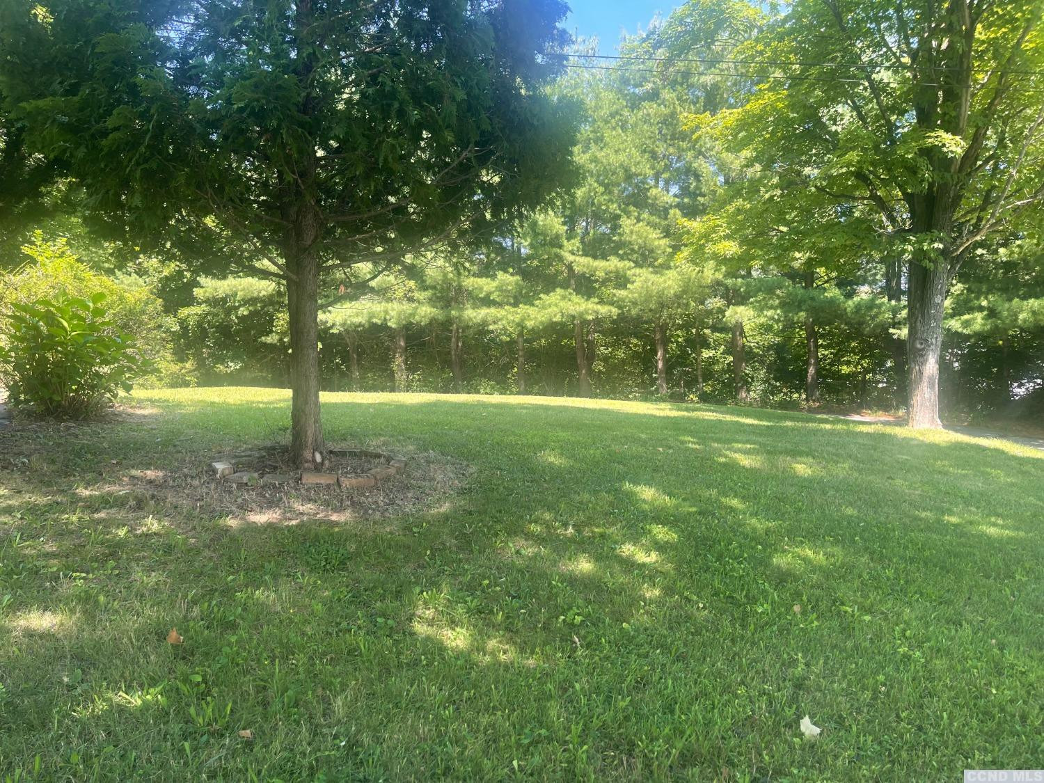 14 Cairo Junction Road Catskill, NY 12451 - Photo 21 of 25 a backyard of a house with lots of green space