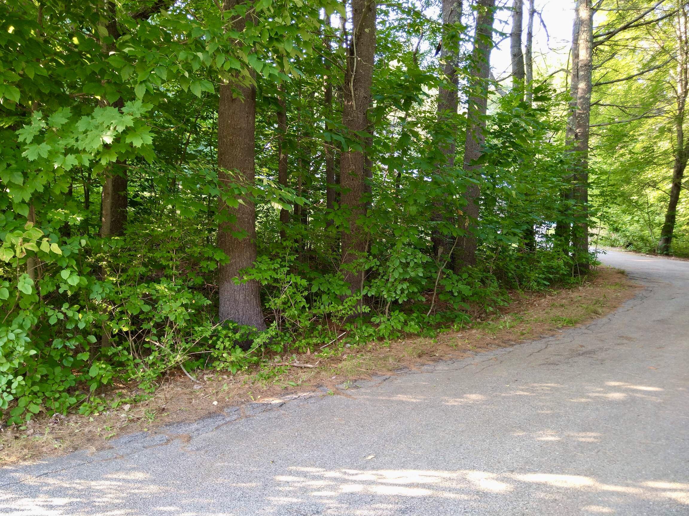 107 Pope Road Windham, ME 04062 - Photo 11 of 82 Private wooded driveway